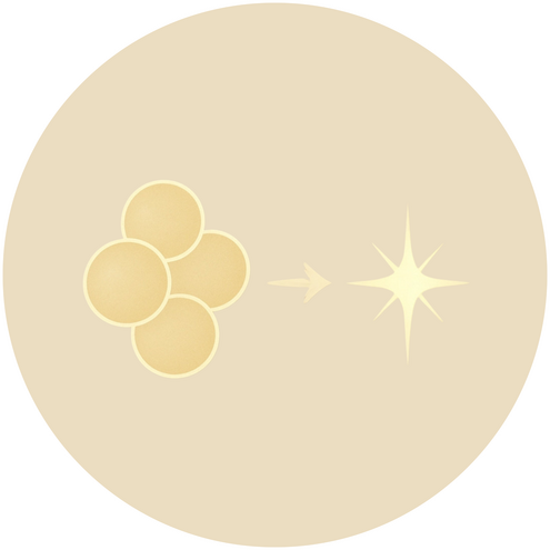 Chuyển hoá &amp; Hệ mỡ